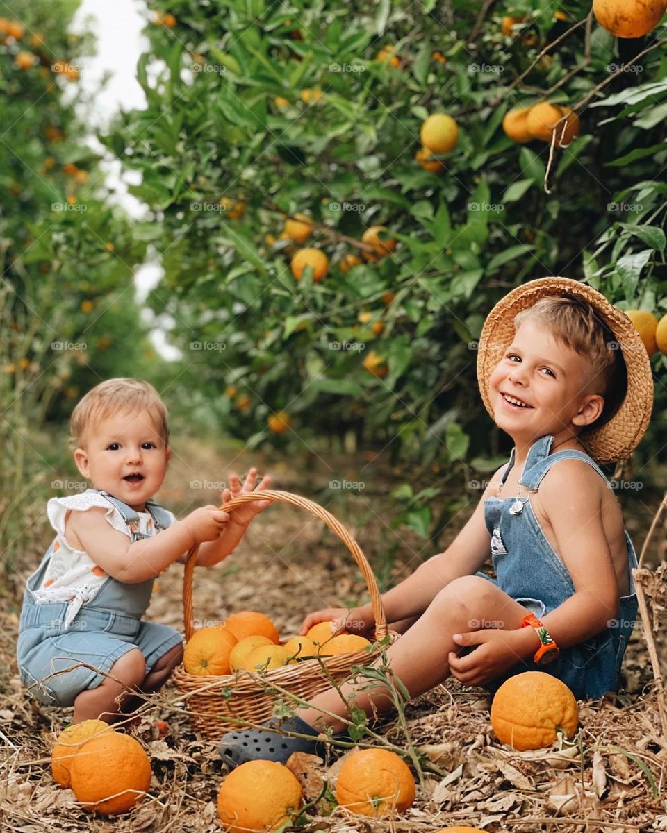 Beautiful smiling babies on the orange field