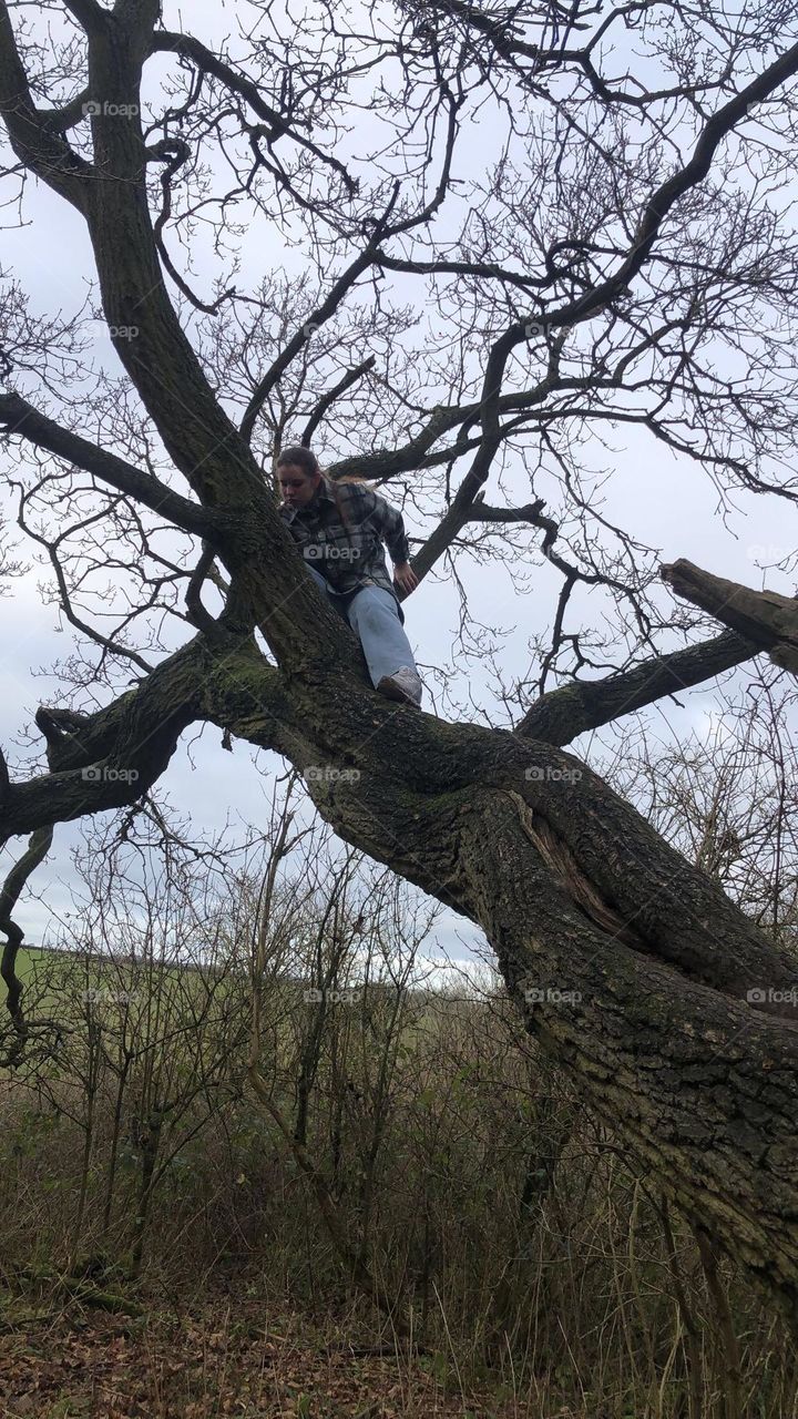 Climbing a tree 