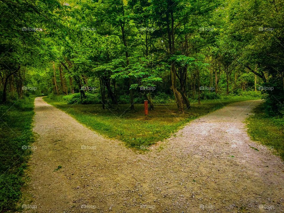 Fork in the road