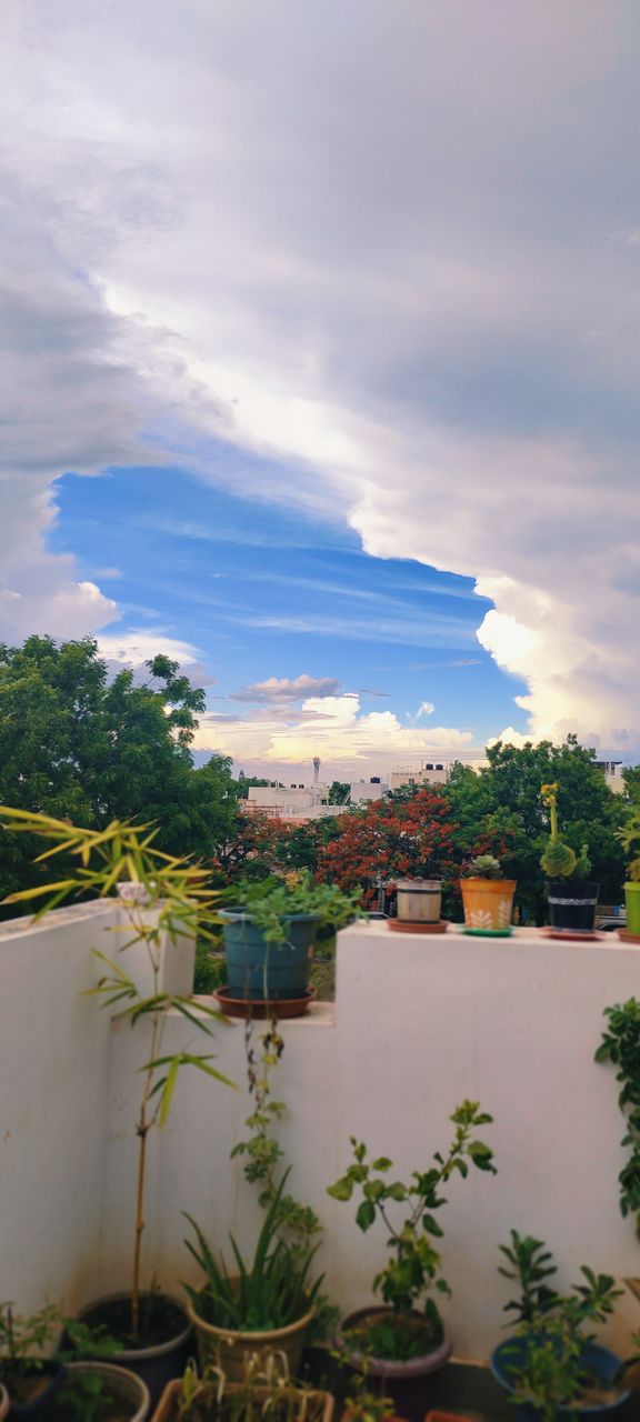 blue sky