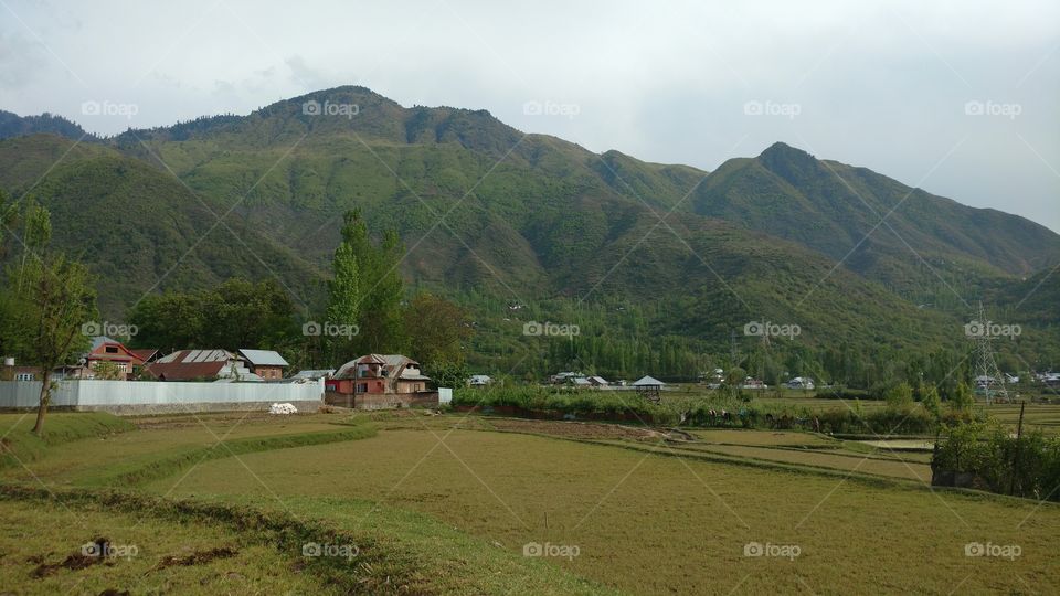 No Person, Mountain, Landscape, Travel, Cropland