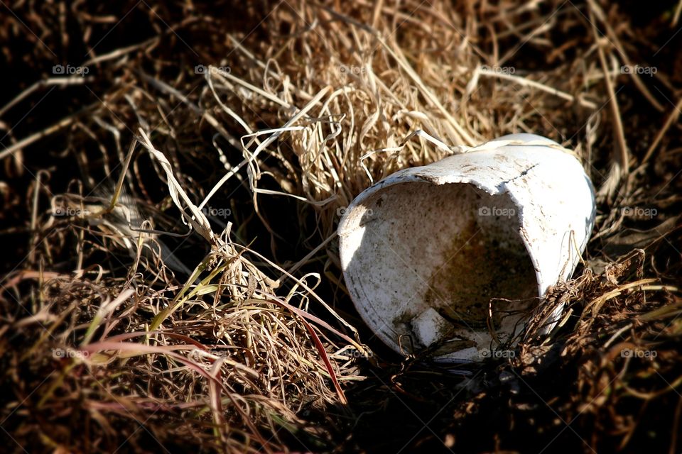 Waste

A garbage cup in old dead grass.