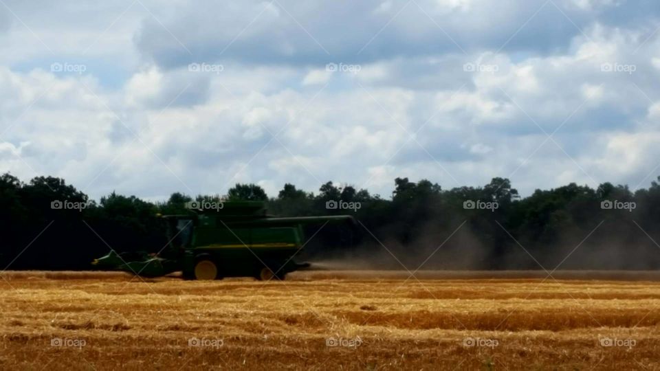 Farmer cutting hay