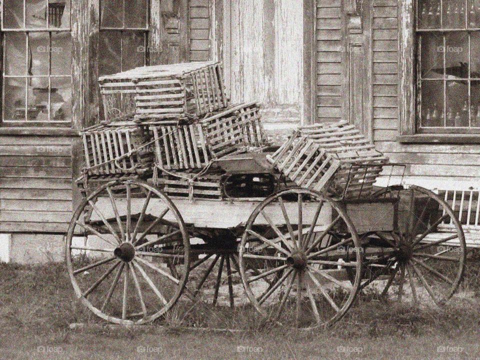 Lobster traps in a wagon