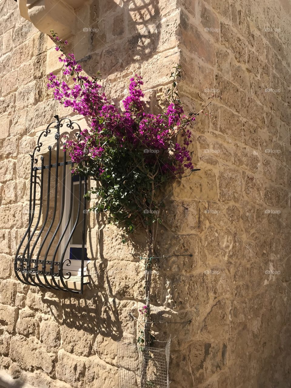 A beautiful traditional Maltese antique house, decorated with one of my favourite plants, bougainvillea! -Made in Malta 