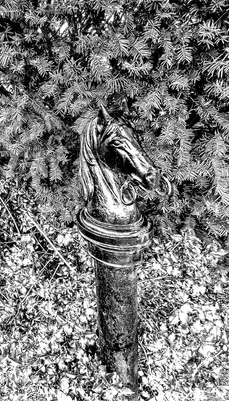 Black and White Hitching Post