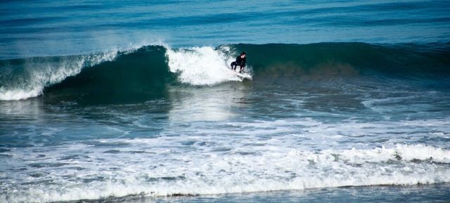 Surfing