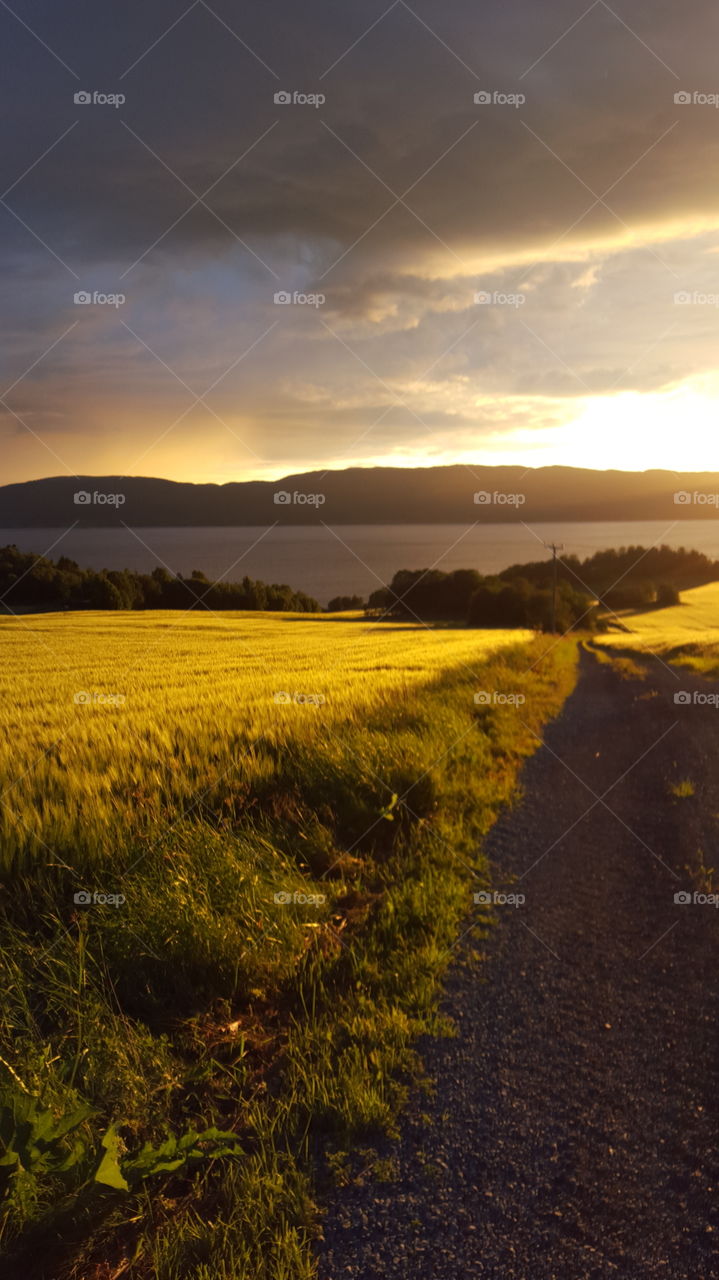 Sunset at Byneset. I looked out of the window, and saw this amazing light over the ocean.