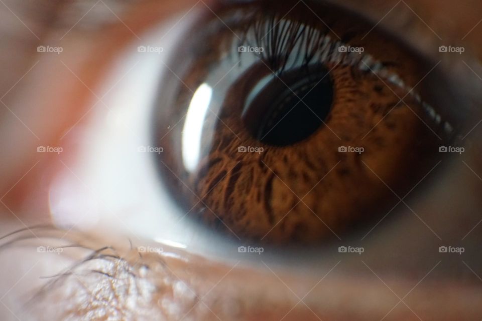 Eye#lashes#iris#reflect#lens#detail