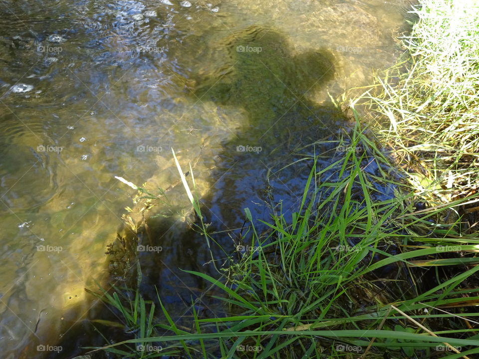 Hanging next to the river