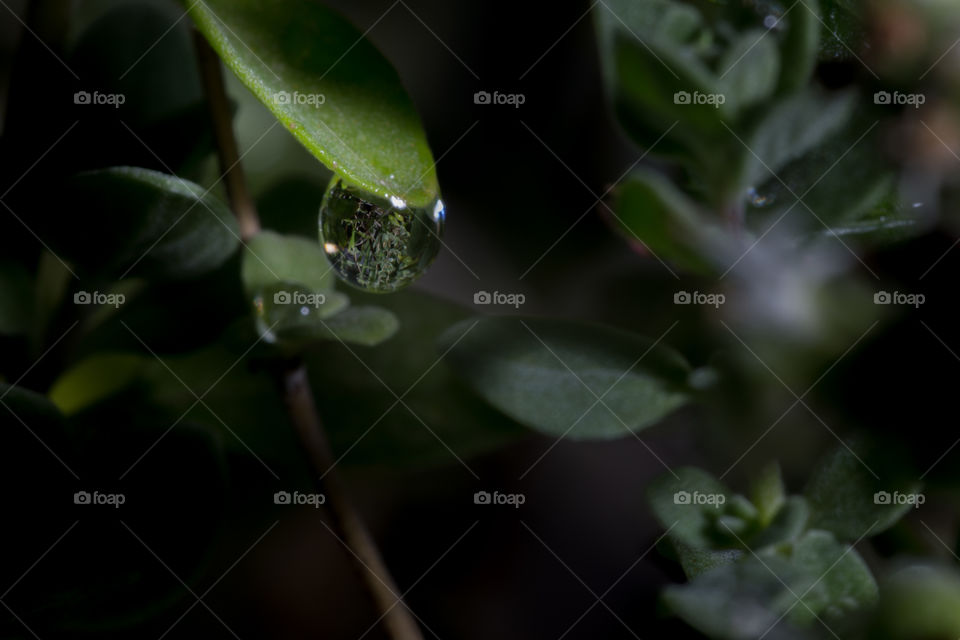 Reflection inside a drop