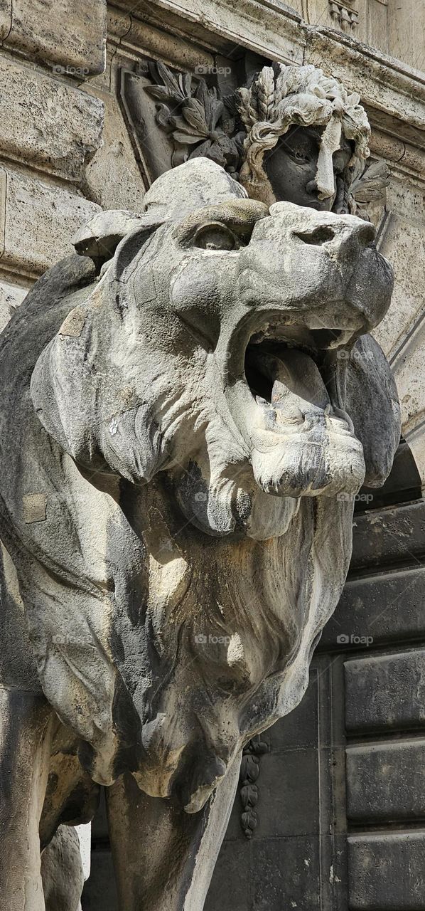 lion à Budapest