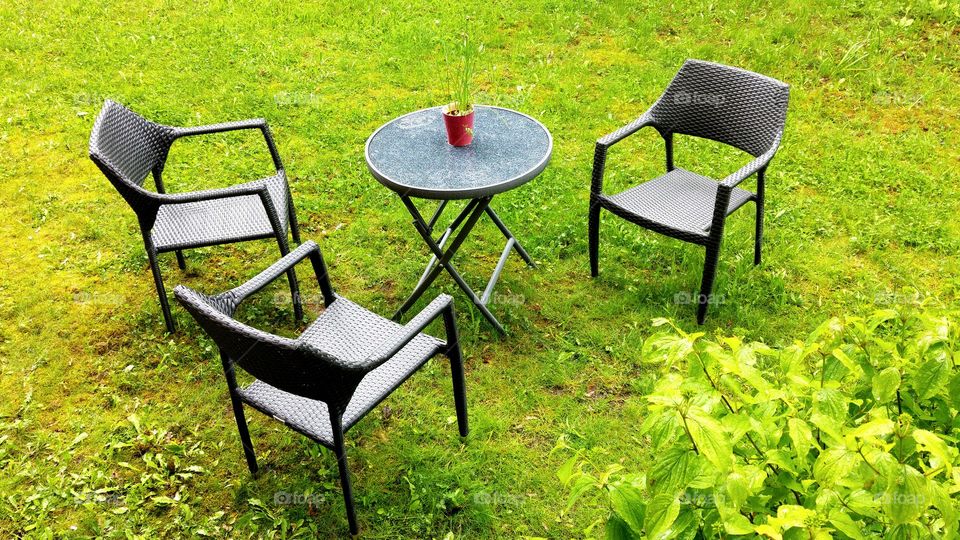 sitting in the garden