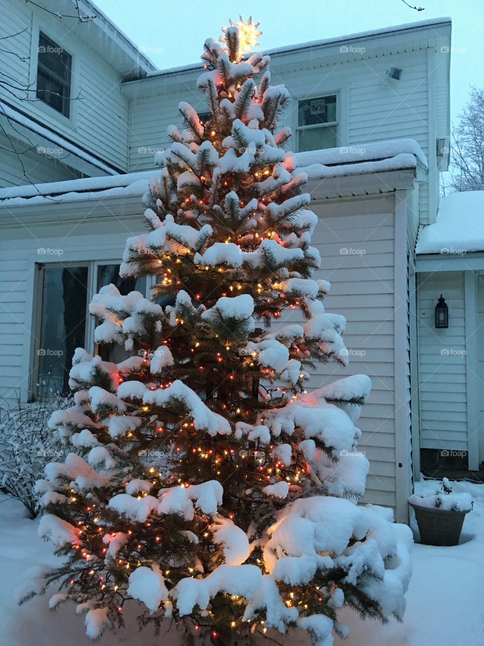 Snow covered Christmas tree with white and red lights 