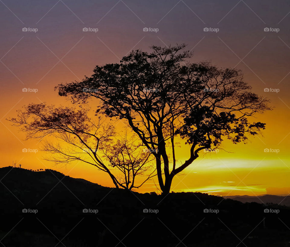 Travel around the world