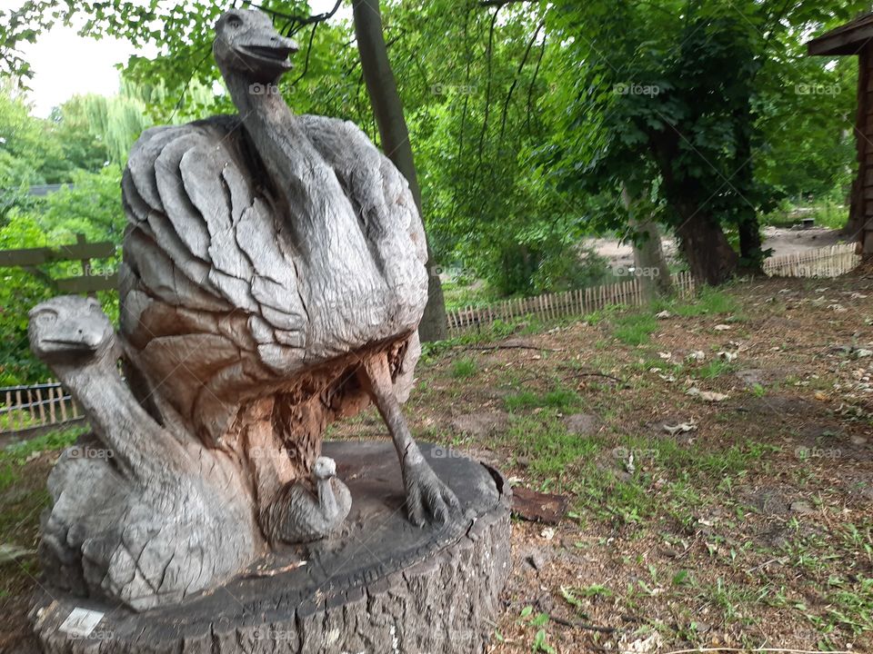 Wooden peacock