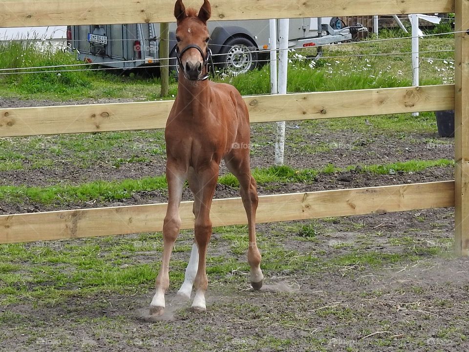 Trying those long legs