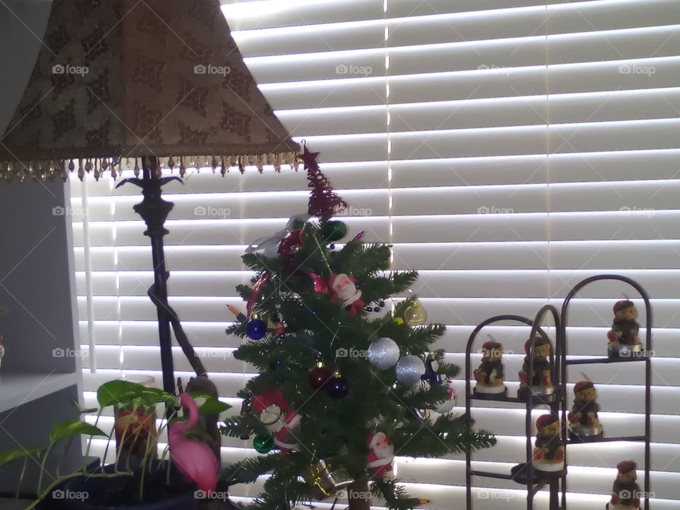 New Years Happiness!