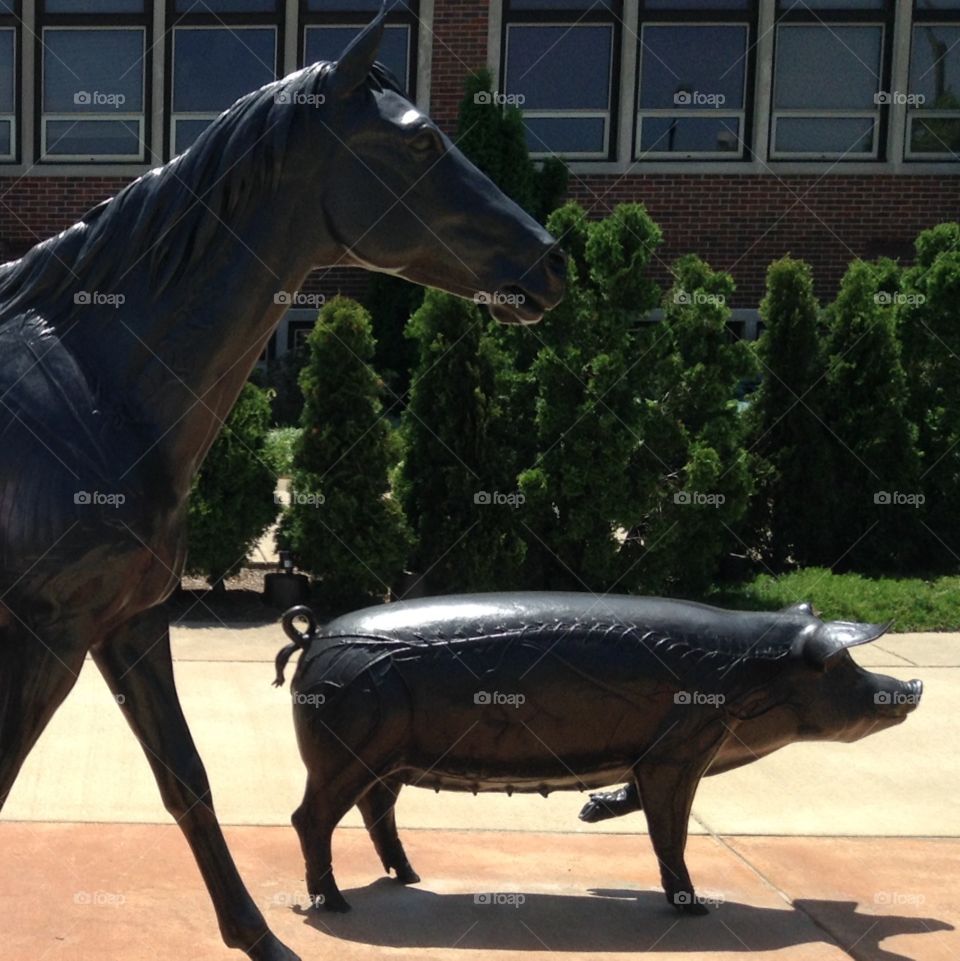 Horse and pig statues