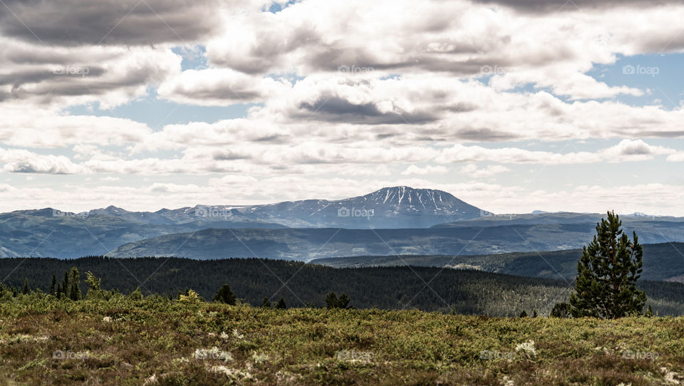 The Gaustadtoppen Mountain