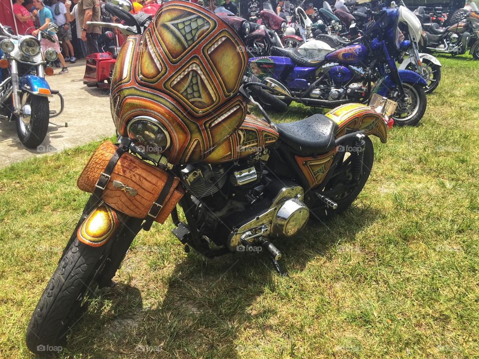 A motorcycle with a nice paint job at a bike rally