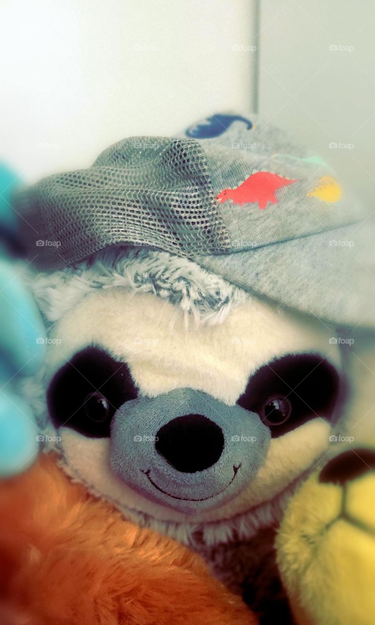 stuffed animal with dino hat