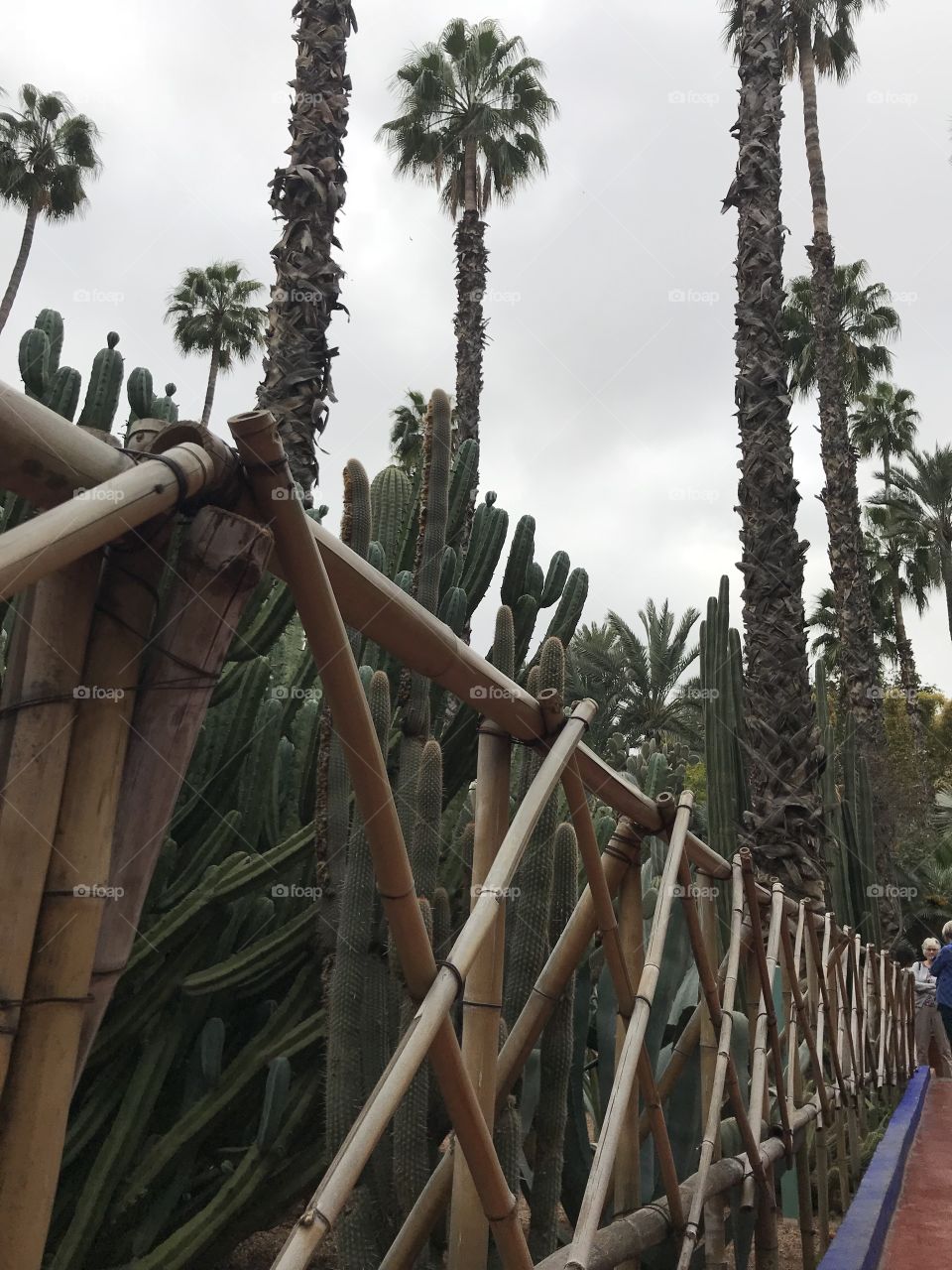 Garden Majorele, Marrakech 