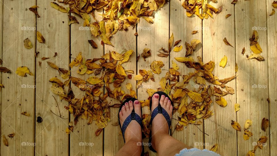 looks like fall is in the air