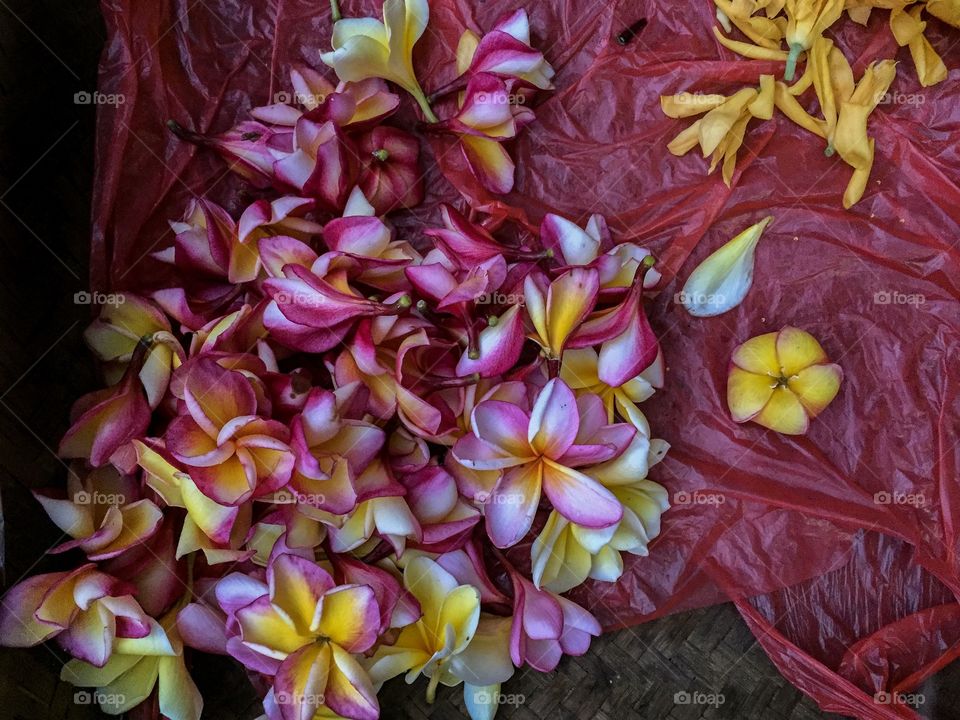 Flower market