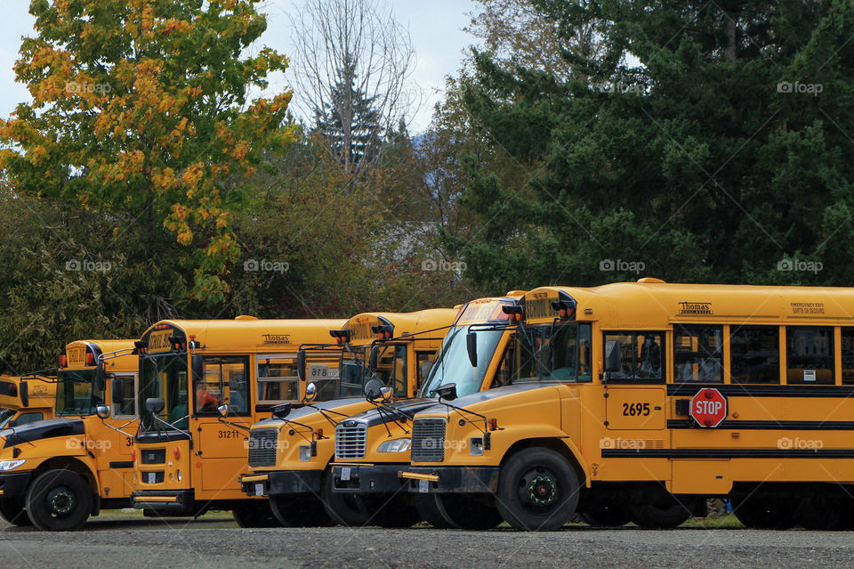 Point A to B. School buses are a common sight for all communities. Students in our community can travel from rural areas as well some children travel from nearby small islands that may not have all levels of schools. 