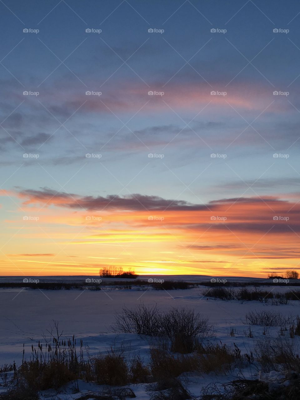 Snowy coloured sunset 