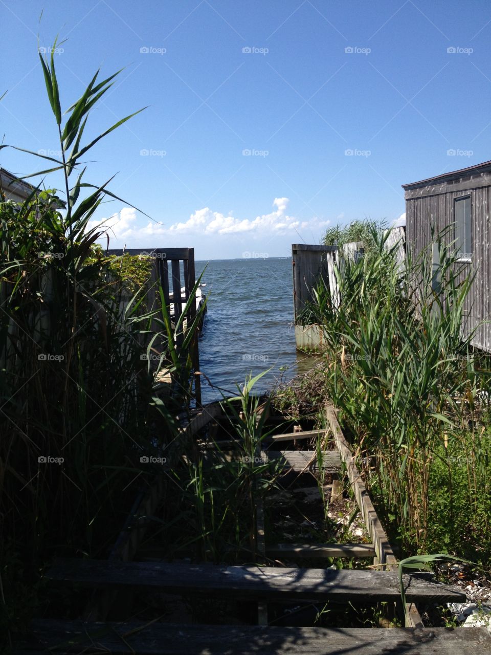 Fire island bay side 