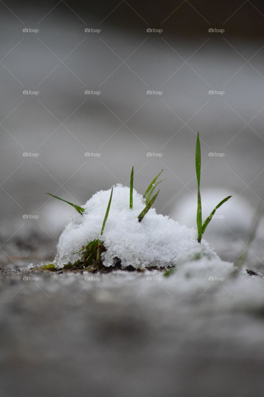 Close up on a pile of snow