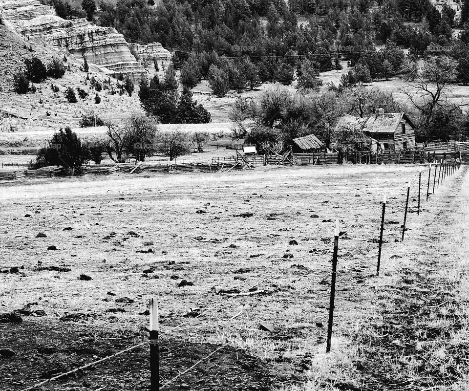 An old homestead lost in time on a farm in the hills of Eastern Oregon. 