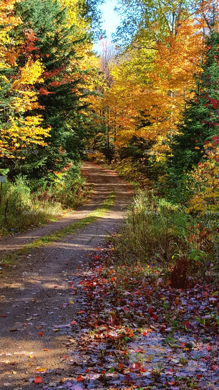 two rut road to autumn