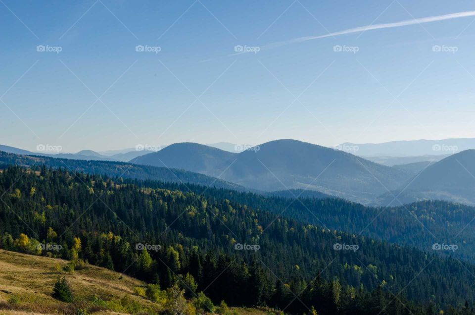 carpathian mountains in the spring season