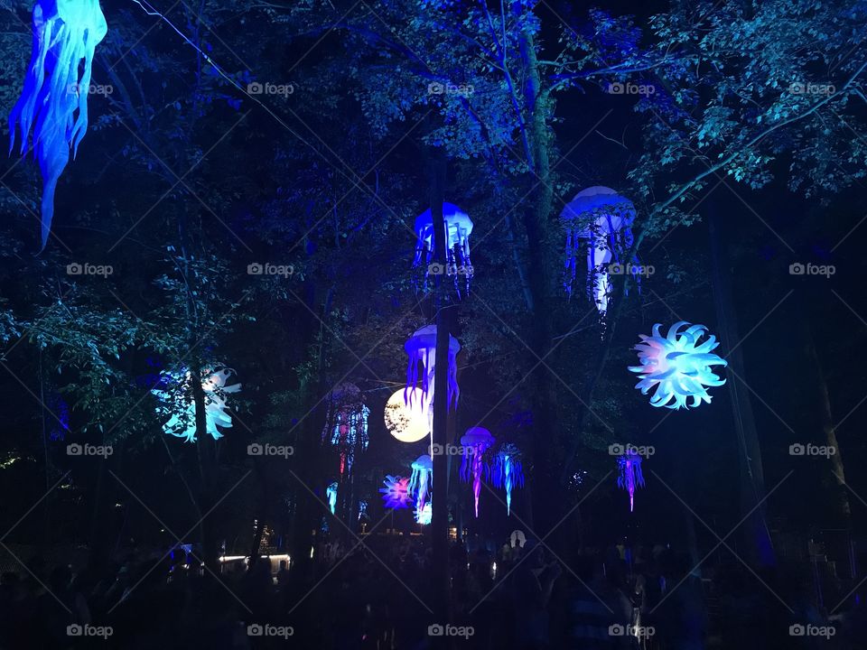 Firefly Music Festival