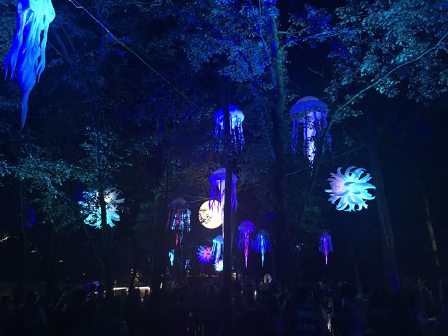 Firefly Music Festival