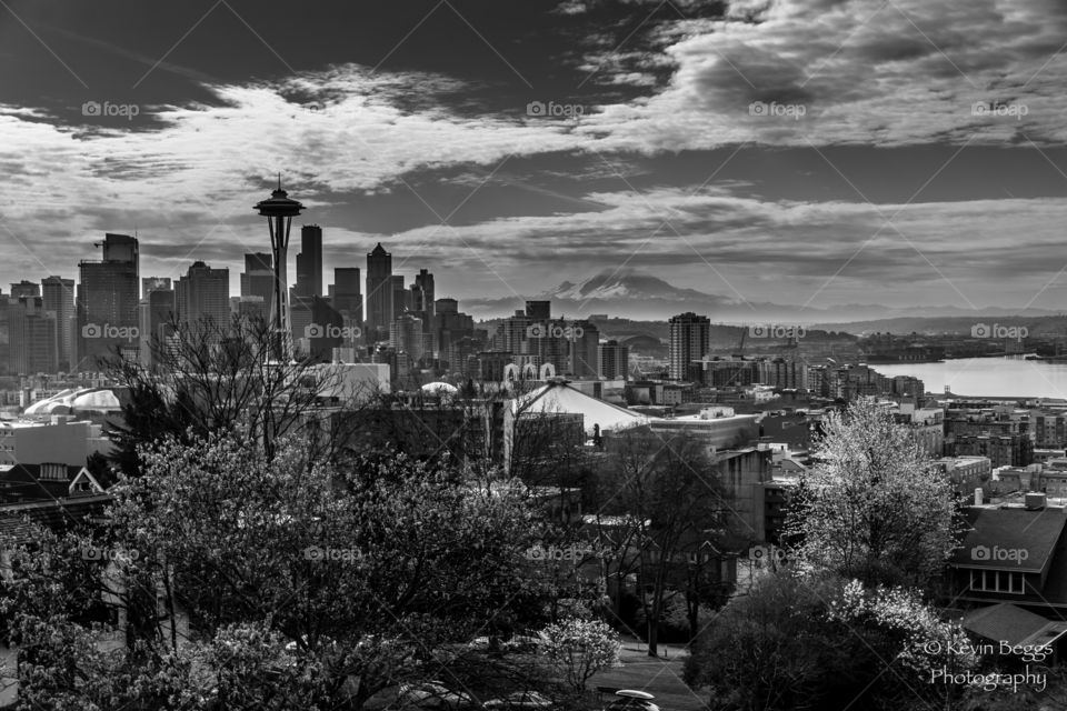 City and Mountain B/W