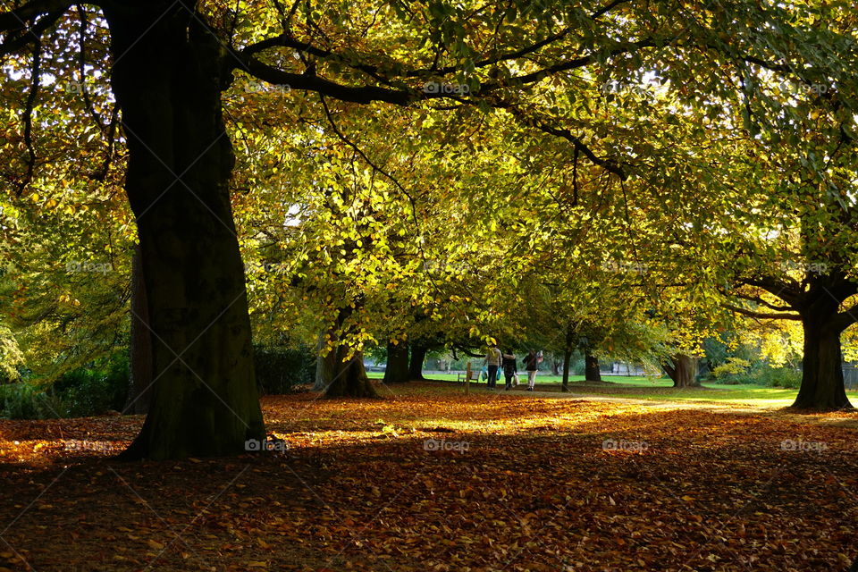 Darlington South Park Autumn 2021 