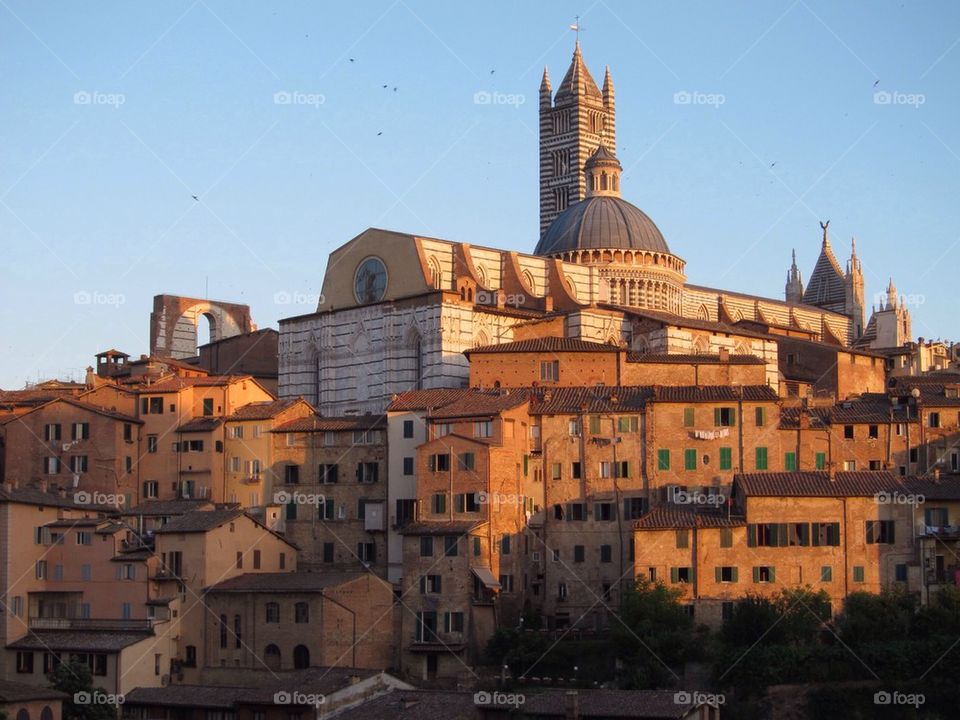 Cityscape in Siena