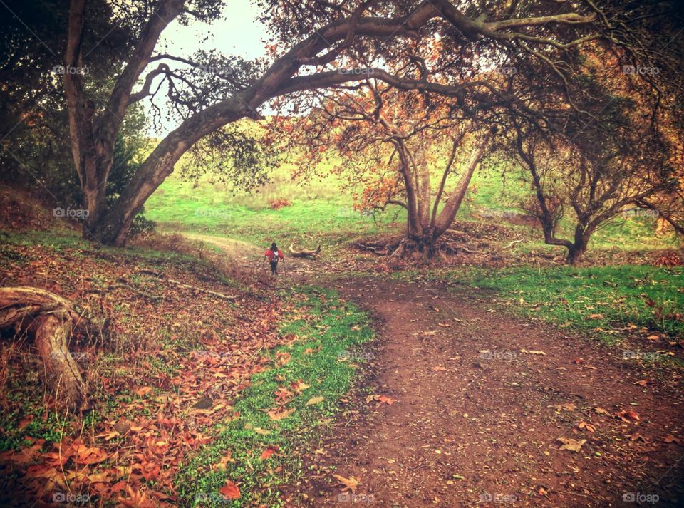 A beautiful scenic autumn hiking trail at Dry Creek in Union City, Ca.
