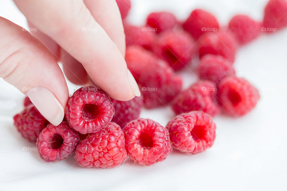 Picking fresh organic raspberries, healthy diet concept