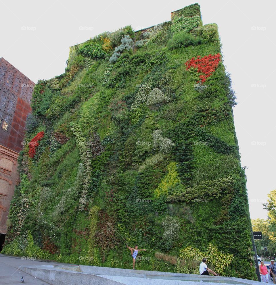 Living wall