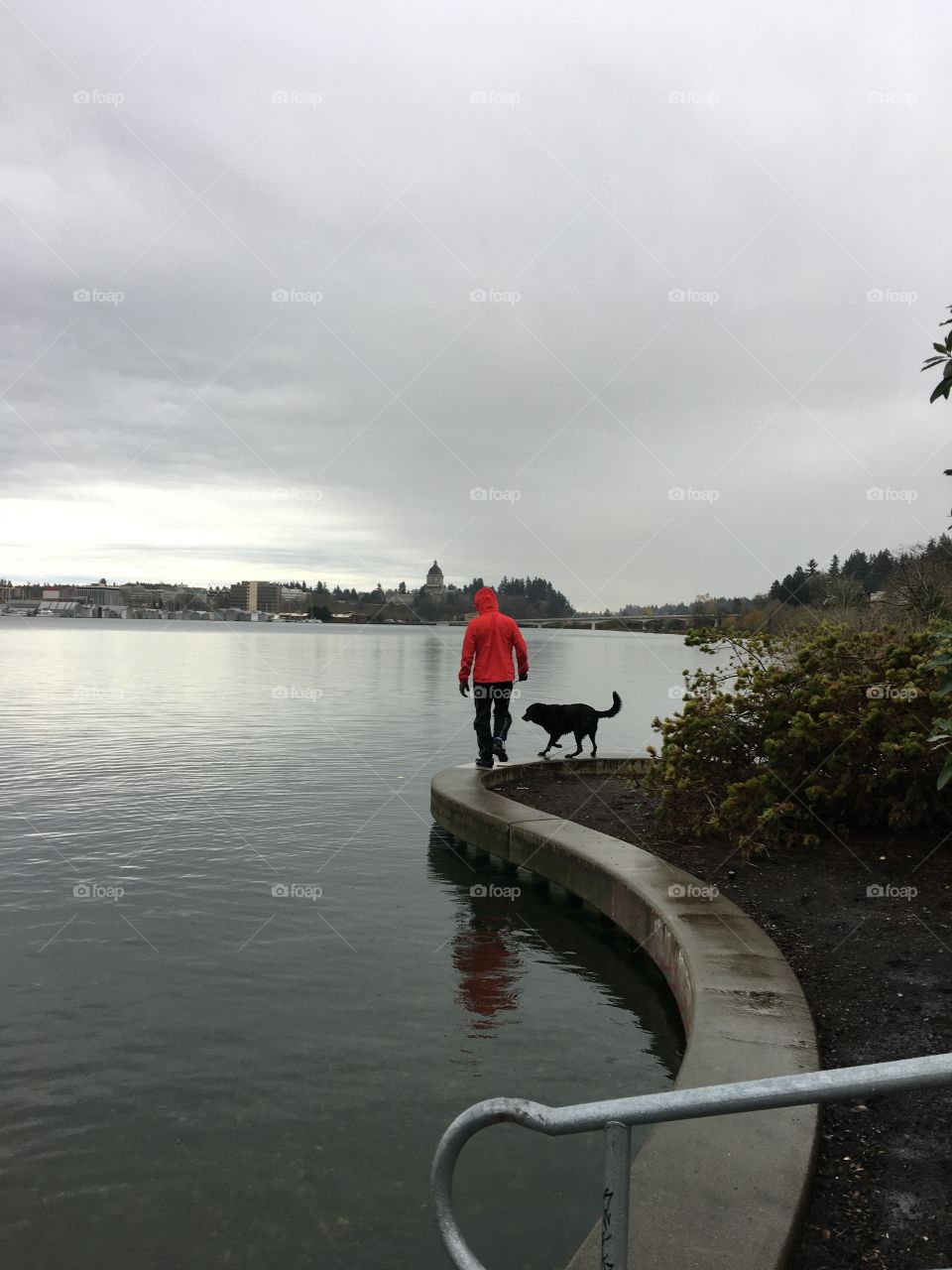 Man and dog playing on the shoreline in Olympia Washington