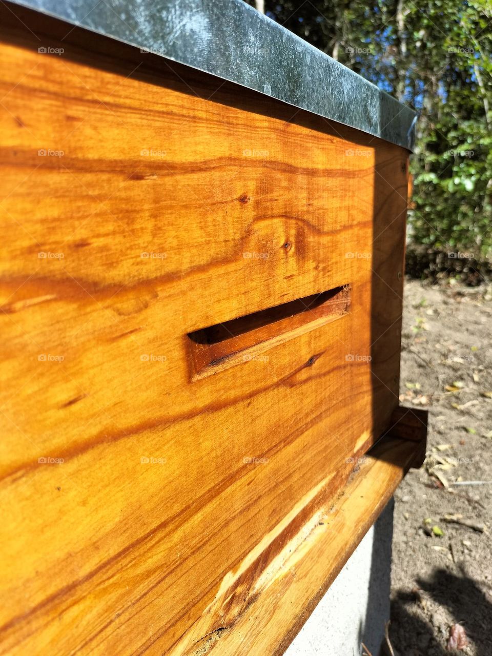 bee box