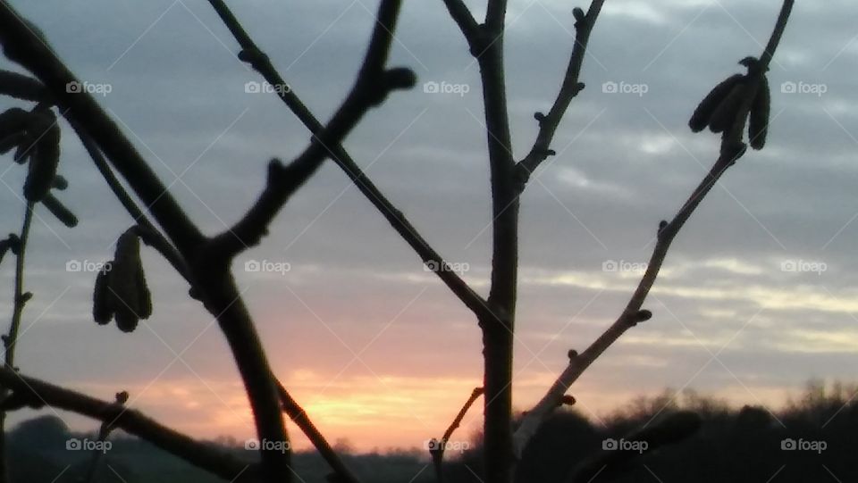 Countryside Dawn