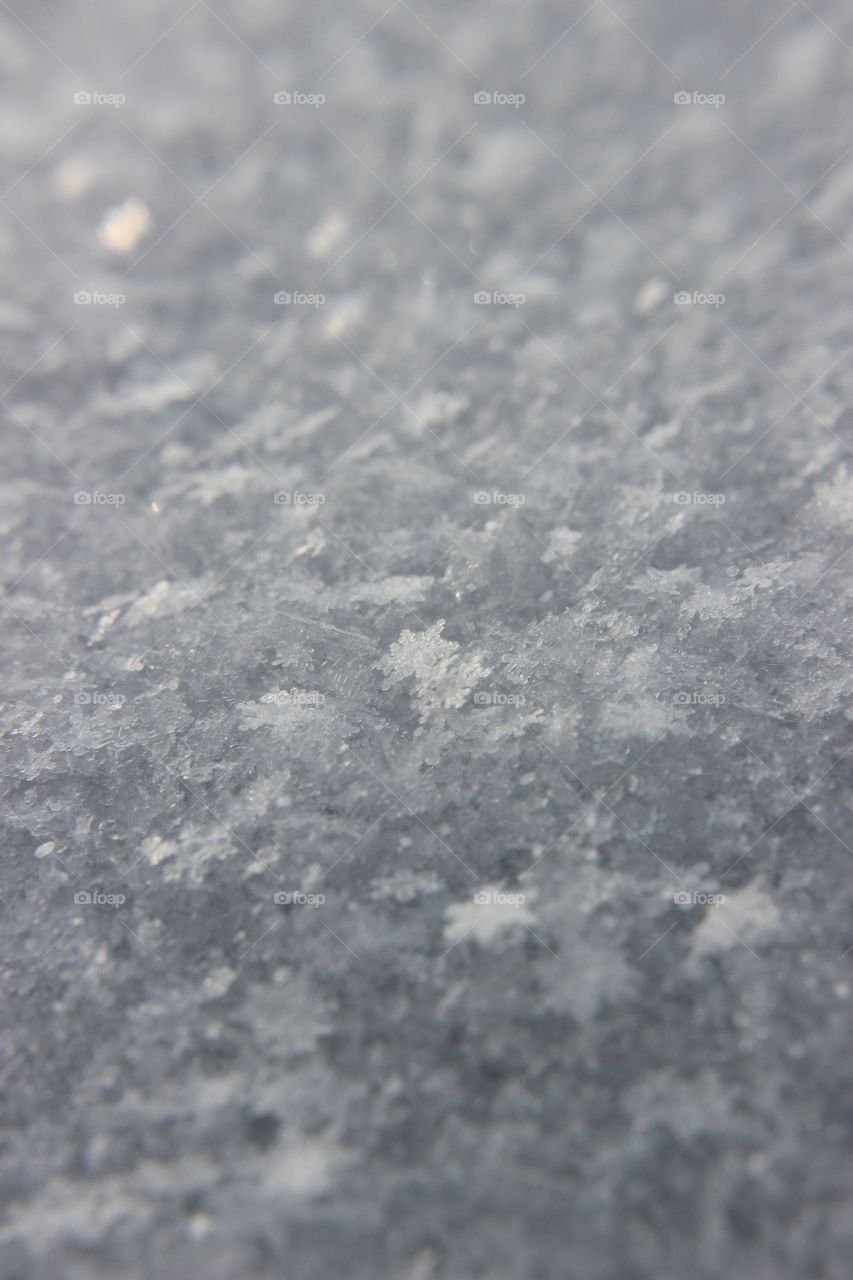 Snow Close-up