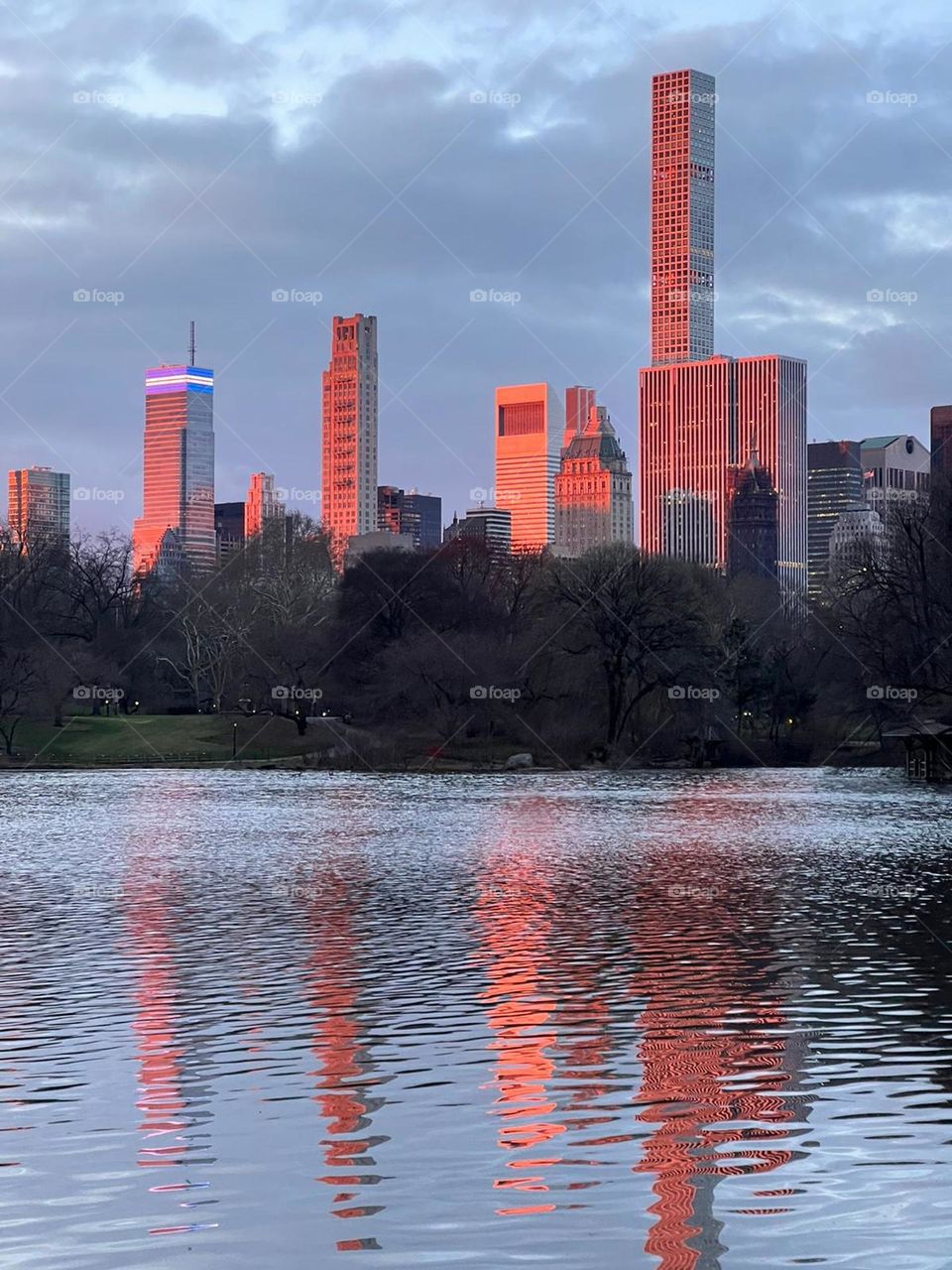 Central park...New York...morning