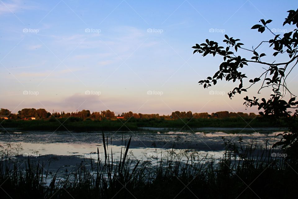 View from the shore